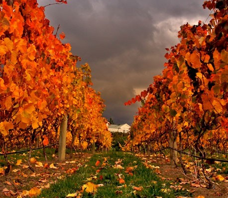 快手卡密店铺的ddos网页端